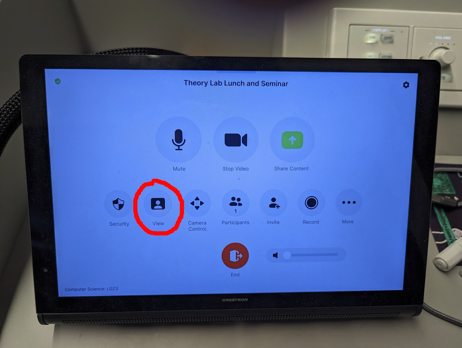 The zoom terminal shows the meeting controls, with 'View' circled.